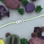 925 SILVER No.1 BRO RAKHI