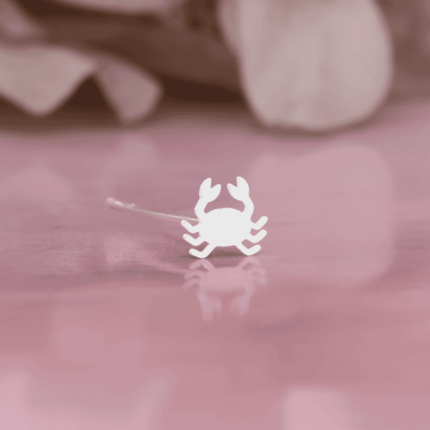 CRAB-swancreations-impressions-babyproducts-bindistamps-pottuachu-chukkapulla-925silver