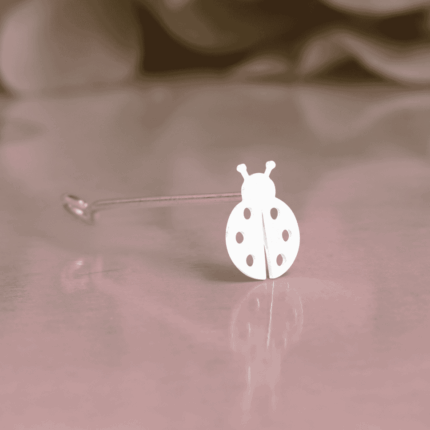 LADY BUG-swancreations-impressions-babyproducts-bindistamps-pottuachu-chukkapulla-925silver